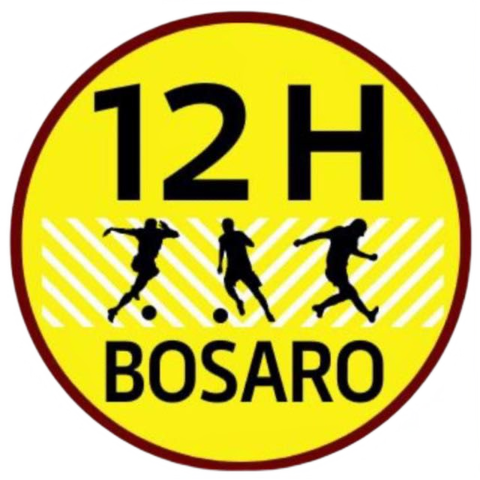 12 Ore Bosaro Logo